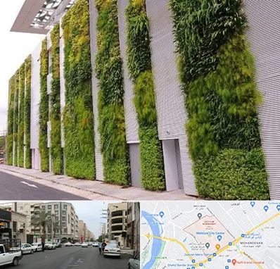 دیوار سبز در زیتون کارمندی اهواز 