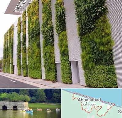 دیوار سبز در عباس آباد