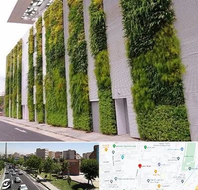 دیوار سبز در شهرک آزمایش 