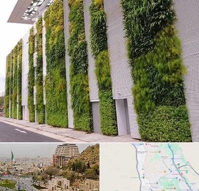 دیوار سبز در فرهنگ شهر شیراز 