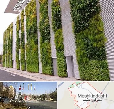 دیوار سبز در مشکین دشت