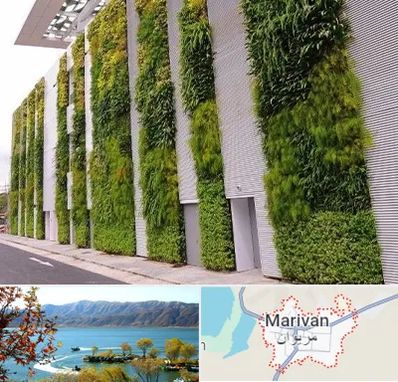 دیوار سبز در مریوان