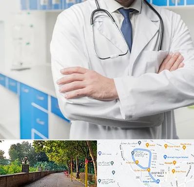 دکتر فوق تخصص کلیه در بلوار گیلان رشت 