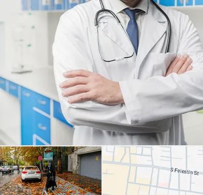 دکتر فوق تخصص کلیه در خیابان فلسطین