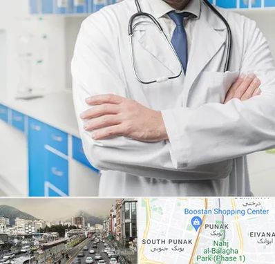 دکتر فوق تخصص کلیه در پونک