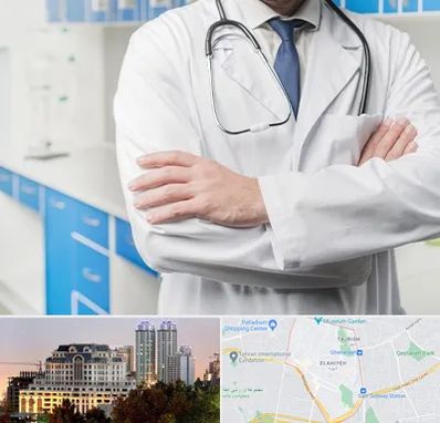 دکتر فوق تخصص کلیه در فرشته 