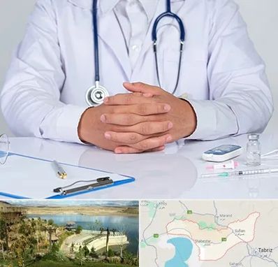 دکتر فوق تخصص اورولوژی در شبستر