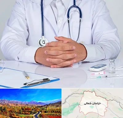 دکتر فوق تخصص اورولوژی در خراسان شمالی