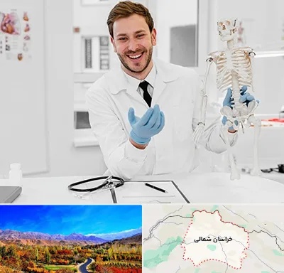 دکتر فوق تخصص ارتوپد در خراسان شمالی