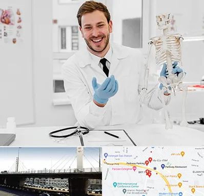 دکتر فوق تخصص ارتوپد در پارک وی 