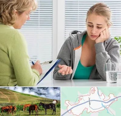 مشاور نوجوان در تالش