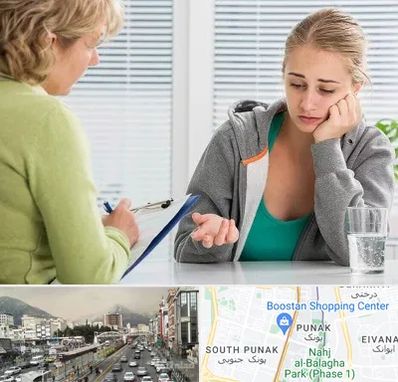 مشاور نوجوان در پونک