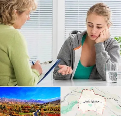 مشاور نوجوان در خراسان شمالی