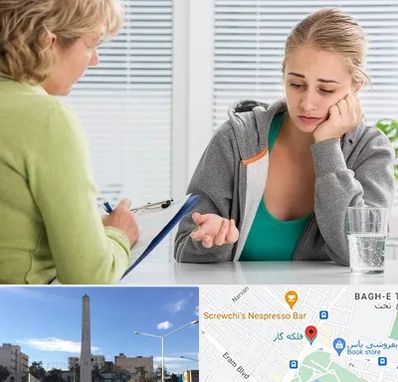 مشاور نوجوان در فلکه گاز شیراز