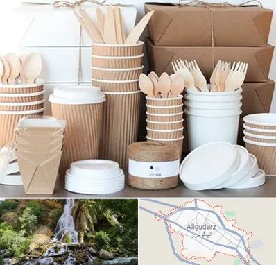 فروش ظروف یکبار مصرف در الیگودرز