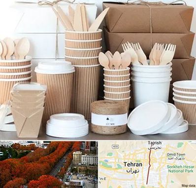 فروش ظروف یکبار مصرف در ولیعصر 