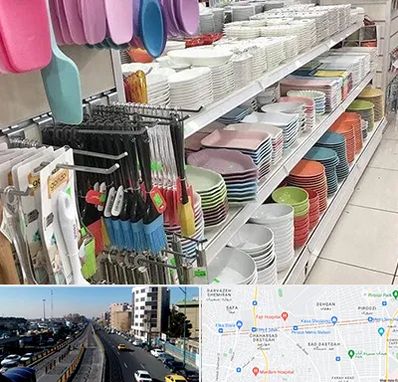 پلاسکو در پیروزی 