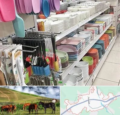 پلاسکو در تالش