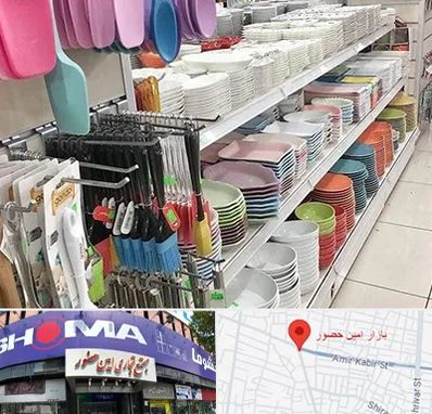 پلاسکو در امین حضور