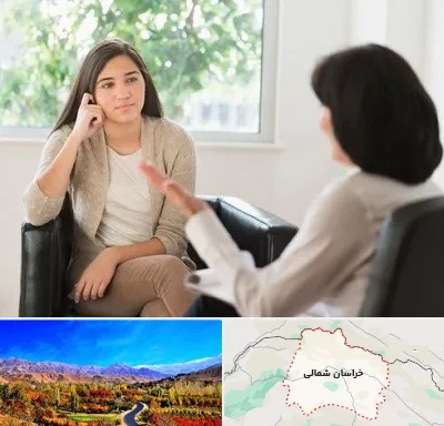 مشاور فردی در خراسان شمالی