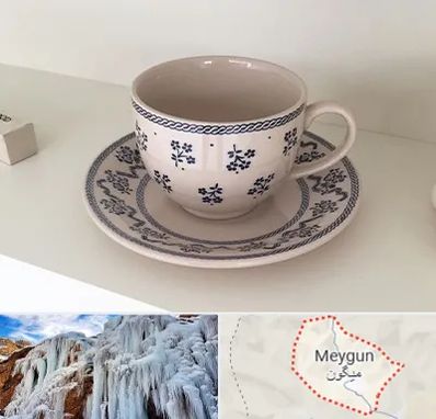 فروش ظروف لعابی در میگون