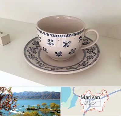 فروش ظروف لعابی در مریوان