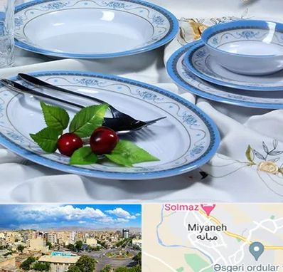 فروش ظروف ملامین در میانه