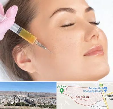 آموزش تزریق ژل و بوتاکس در شهرک گلستان شیراز 