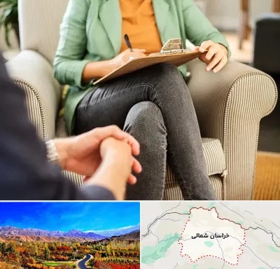 روانشناس فردی در خراسان شمالی