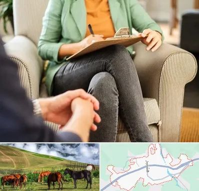 روانشناس فردی در تالش