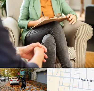 روانشناس فردی در خیابان فلسطین