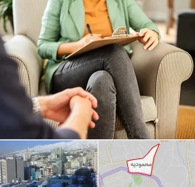 روانشناس فردی در محمودیه