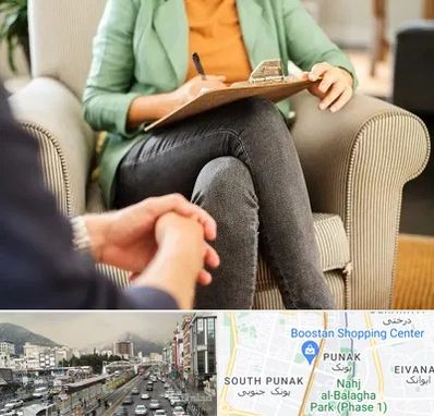 روانشناس فردی در پونک