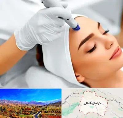آموزش مزوتراپی در خراسان شمالی