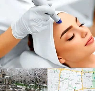 آموزش مزوتراپی در باغ فیض 