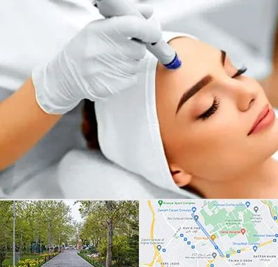 آموزش مزوتراپی در قدوسی غربی شیراز 