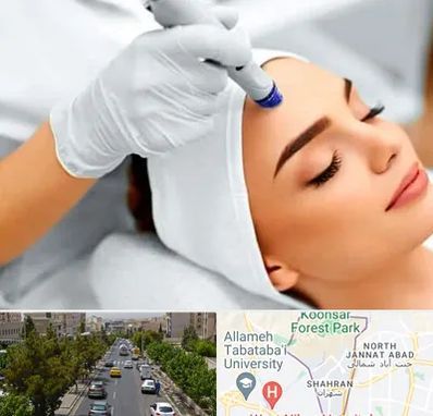 آموزش مزوتراپی در شهران 