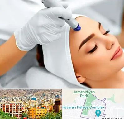 آموزش مزوتراپی در نیاوران 