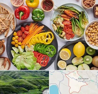 فروشگاه محصولات وگان در گچساران