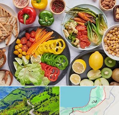 فروشگاه محصولات وگان در گیلان