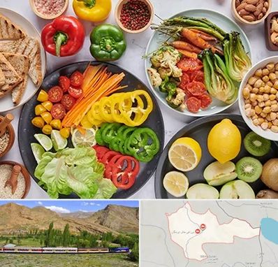 فروشگاه محصولات وگان در خاش