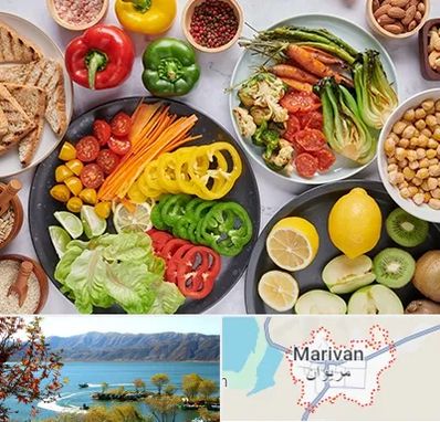 فروشگاه محصولات وگان در مریوان