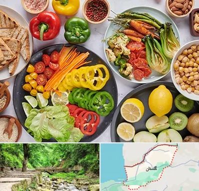 فروشگاه محصولات وگان در گلستان