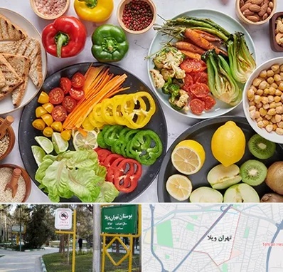 فروشگاه محصولات وگان در تهران ویلا