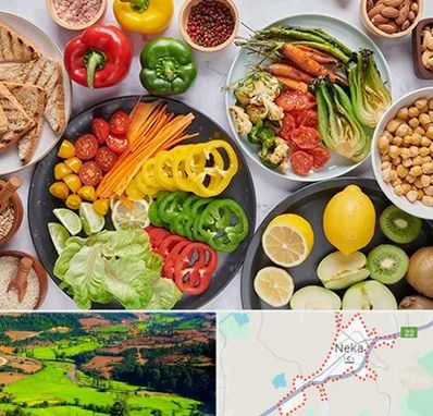 فروشگاه محصولات وگان در نکا