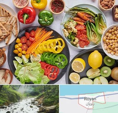 فروشگاه محصولات وگان در رویان