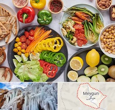 فروشگاه محصولات وگان در میگون