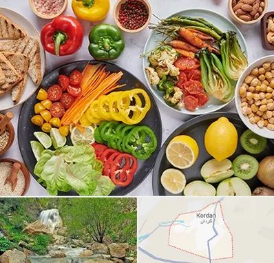 فروشگاه محصولات وگان در کردان