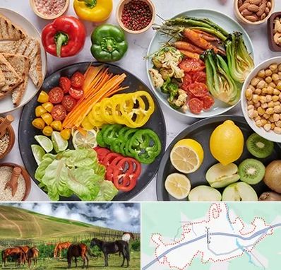 فروشگاه محصولات وگان در تالش