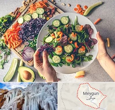 فروشگاه محصولات گیاهی در میگون